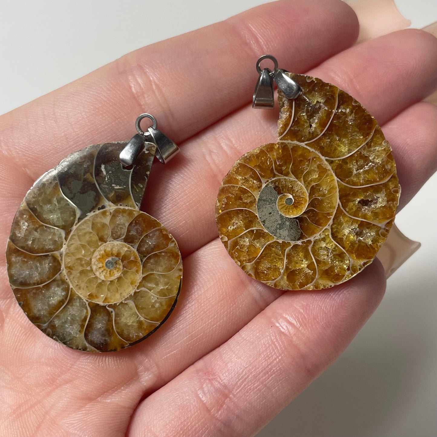 Ammonite Pendant: You Choose