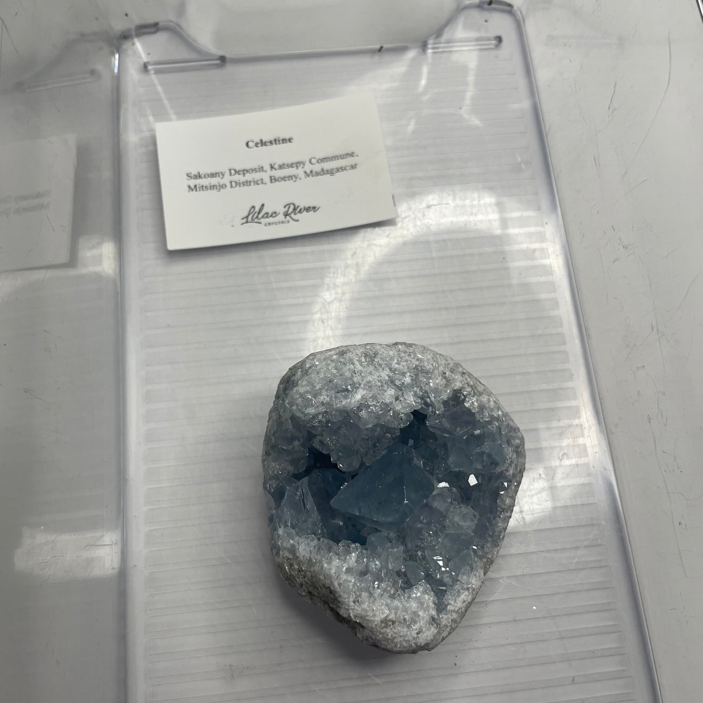 ✺ Unpaid Celestine from Madagascar