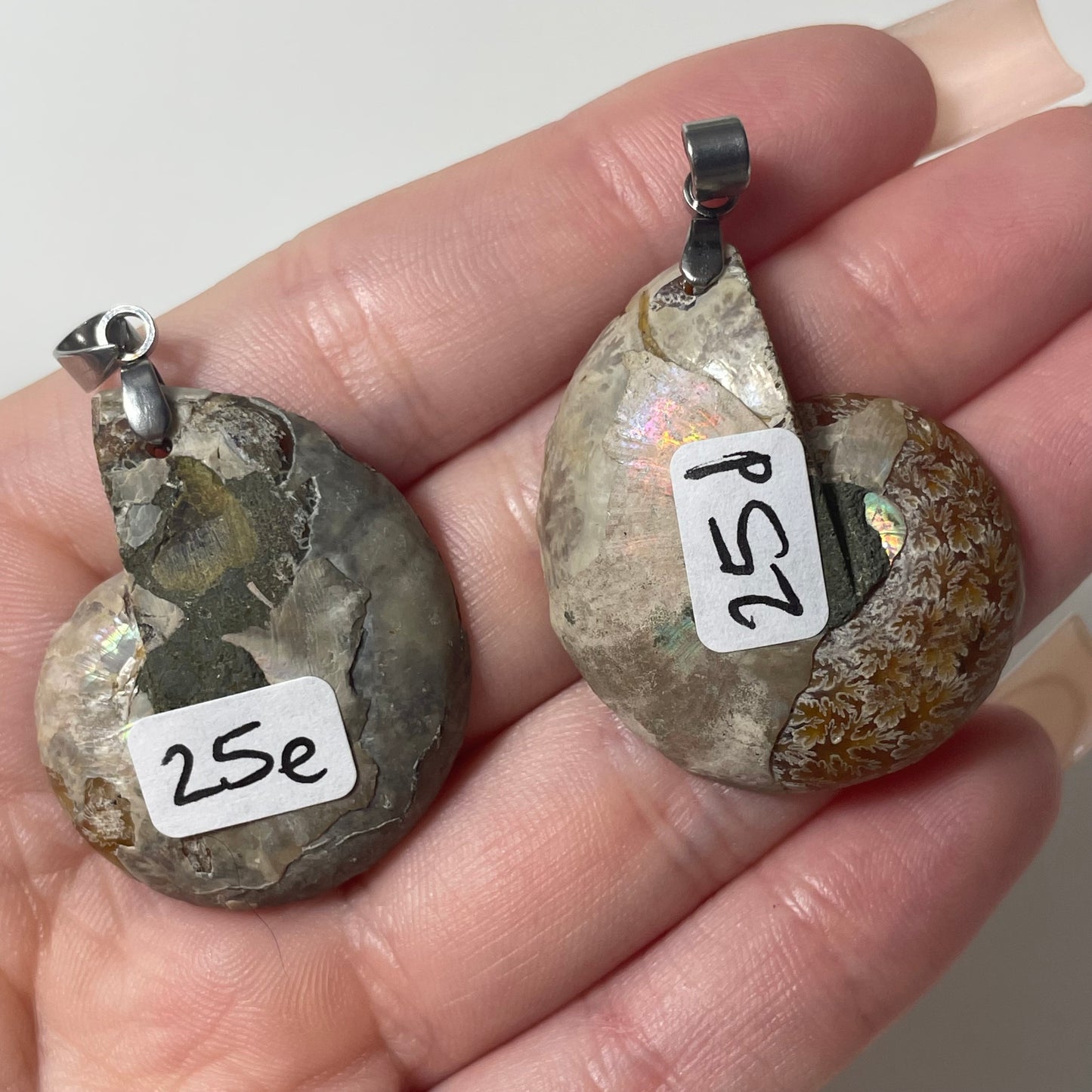 Ammonite Pendant: You Choose