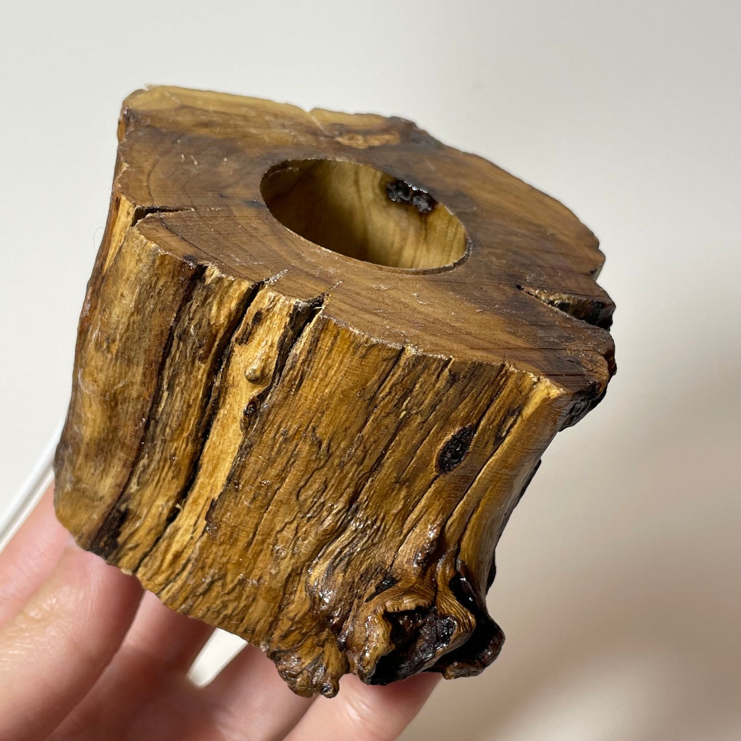 Tree Stump Light Stand: Intuitive Pick