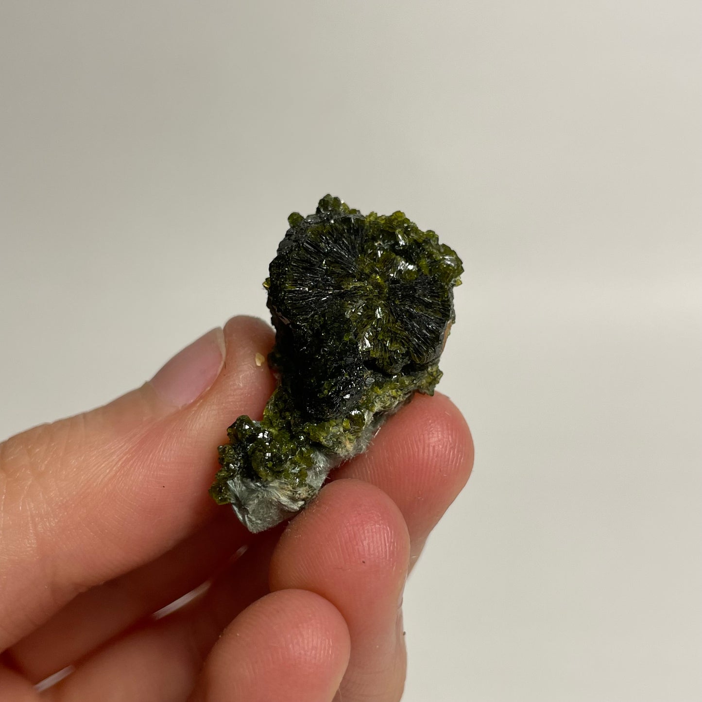 Epidote Specimen from Morocco: You Choose