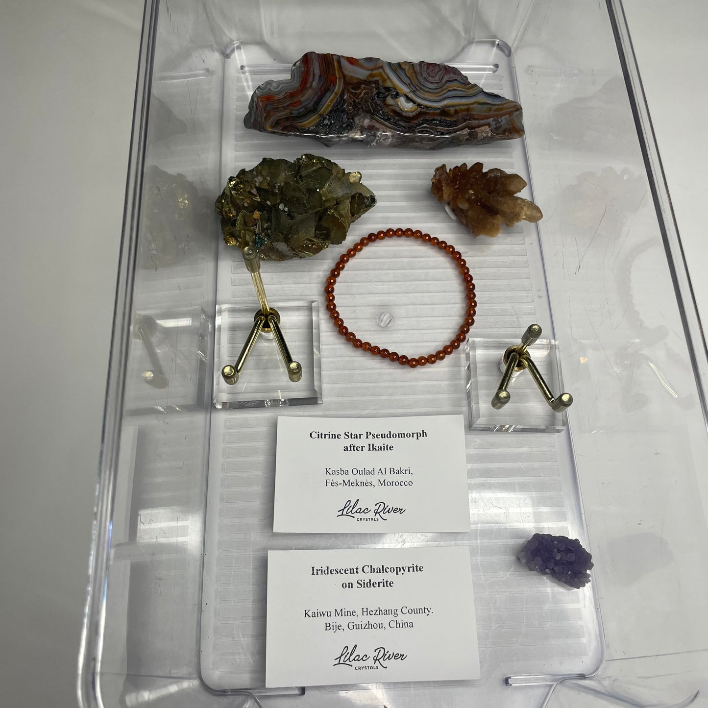 ✺ jessicagoergen0