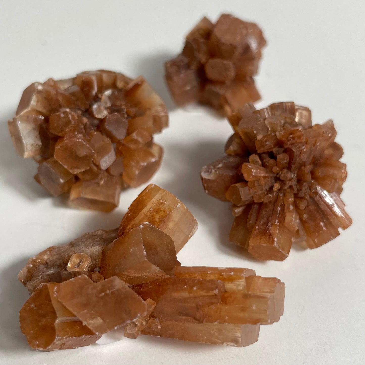 Aragonite Star Cluster