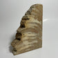 Petrified Wood Bookend (Single)