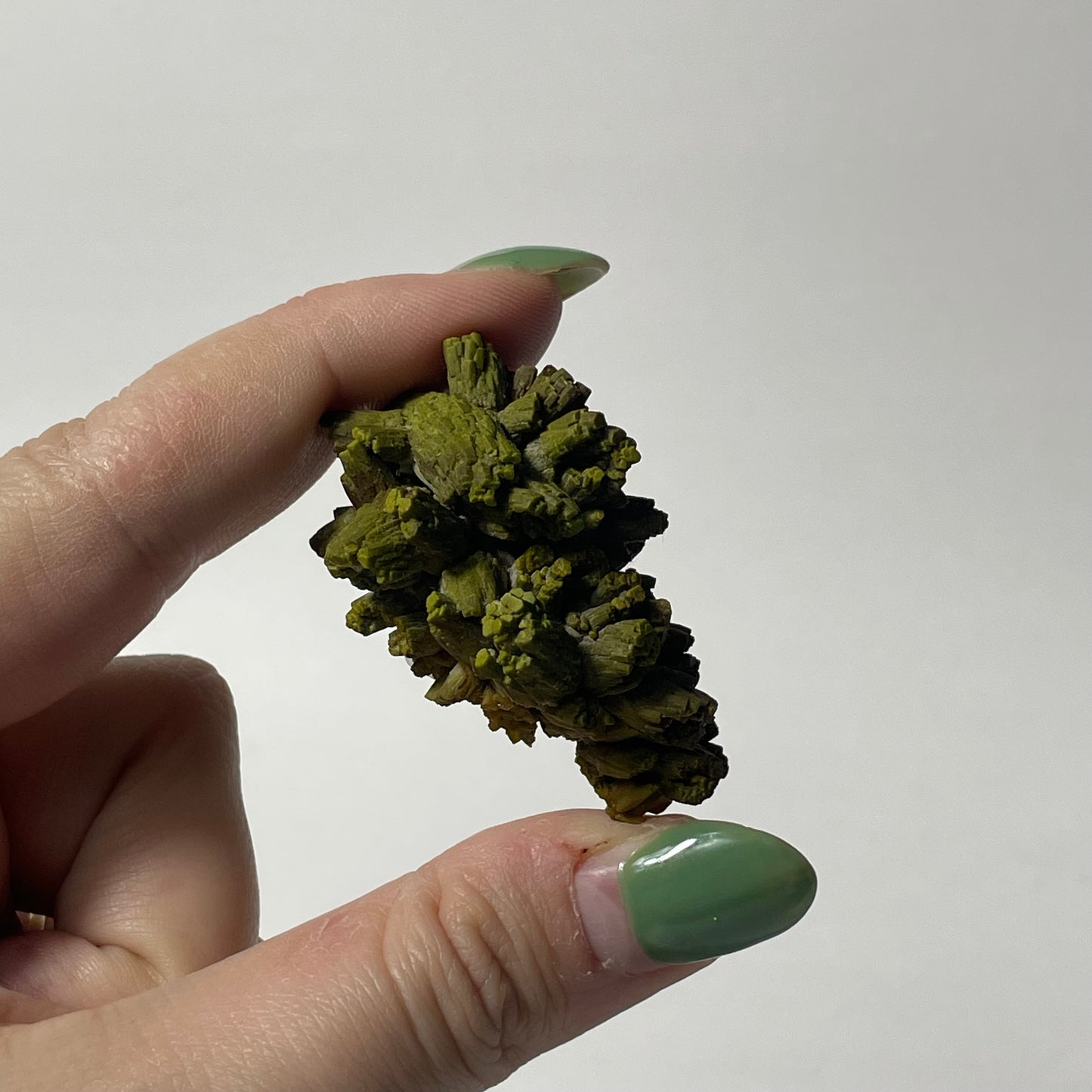 Pyromorphite Specimen from Les Farges, France: You Choose
