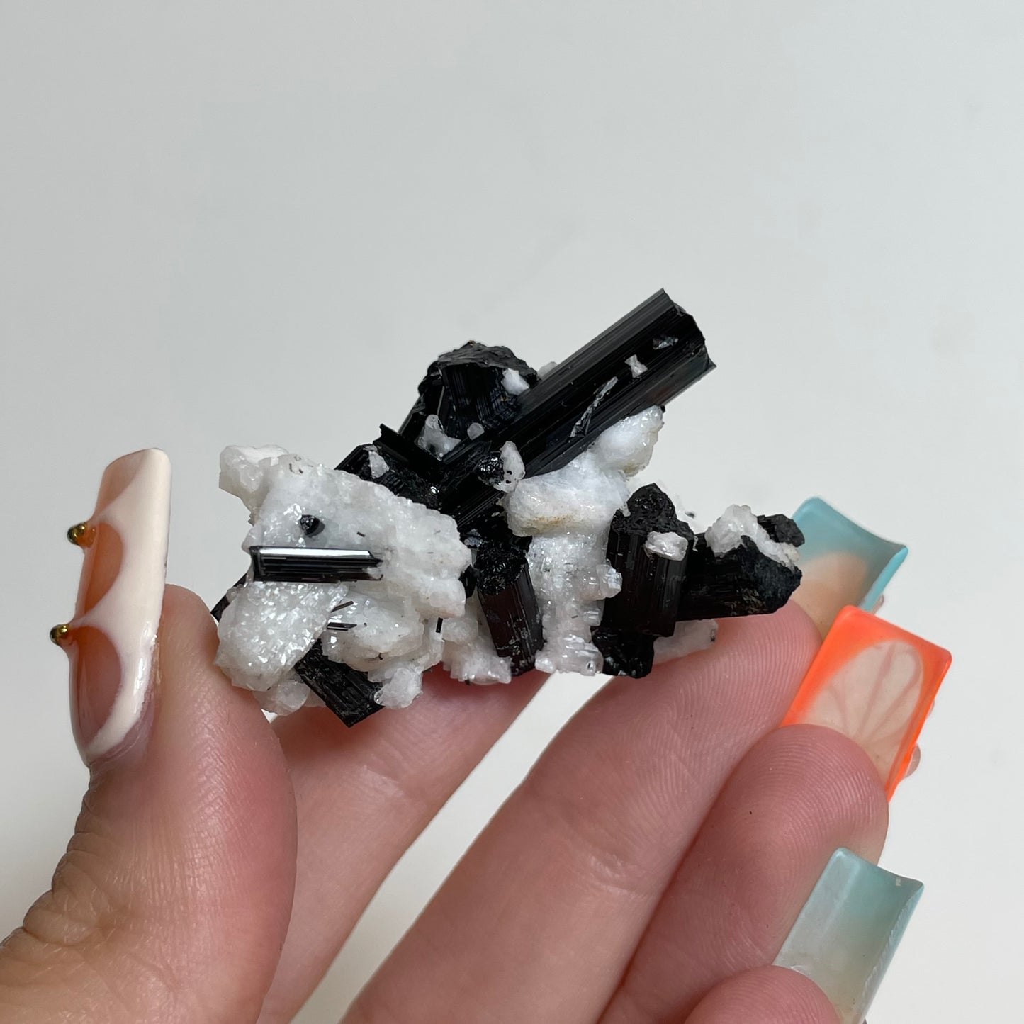 Schorl on Feldspar Specimen from Skardu, Pakistan: You Choose
