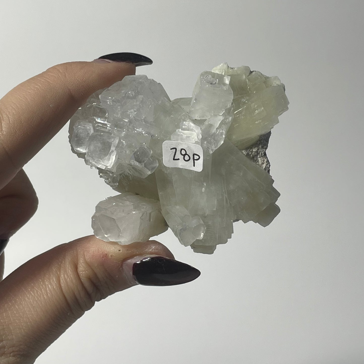 Icy Apophyllite Specimen from India: You Choose