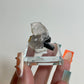 Schorl on Feldspar Specimen from Skardu, Pakistan: You Choose