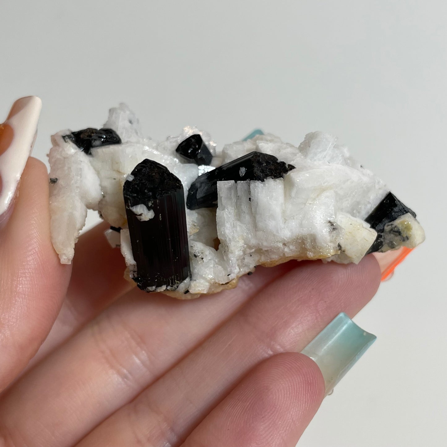 Schorl on Feldspar Specimen from Skardu, Pakistan: You Choose