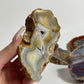 Australian Agate Specimen: You Choose