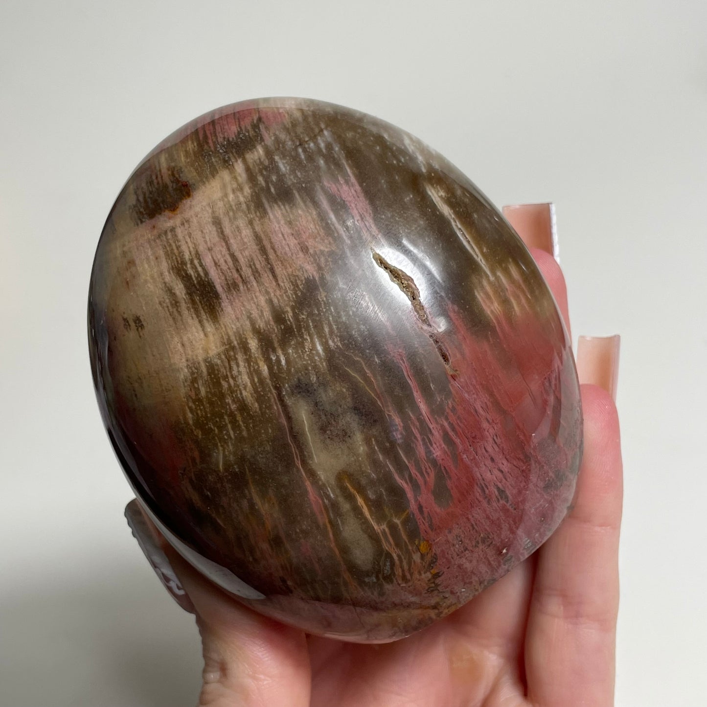 Petrified Wood Freeform: You Choose