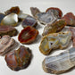 Australian Agate Specimen: You Choose