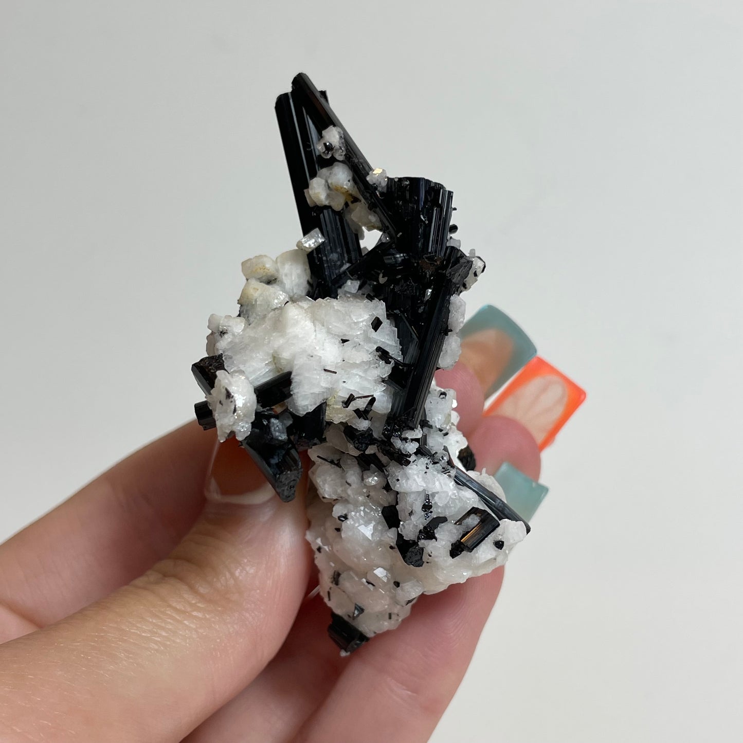 Schorl on Feldspar Specimen from Skardu, Pakistan: You Choose