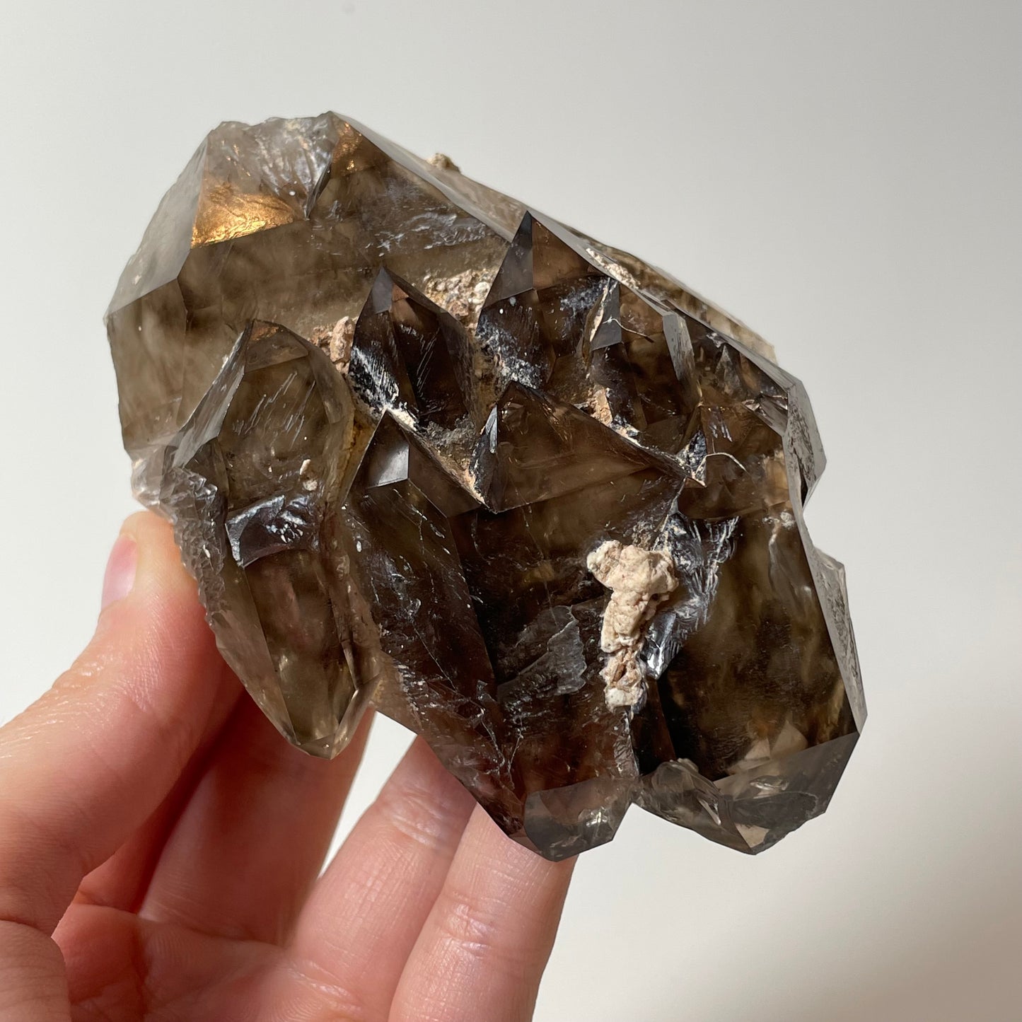 Smokey Quartz Specimen from the Goboboseb Mountains, Namibia
