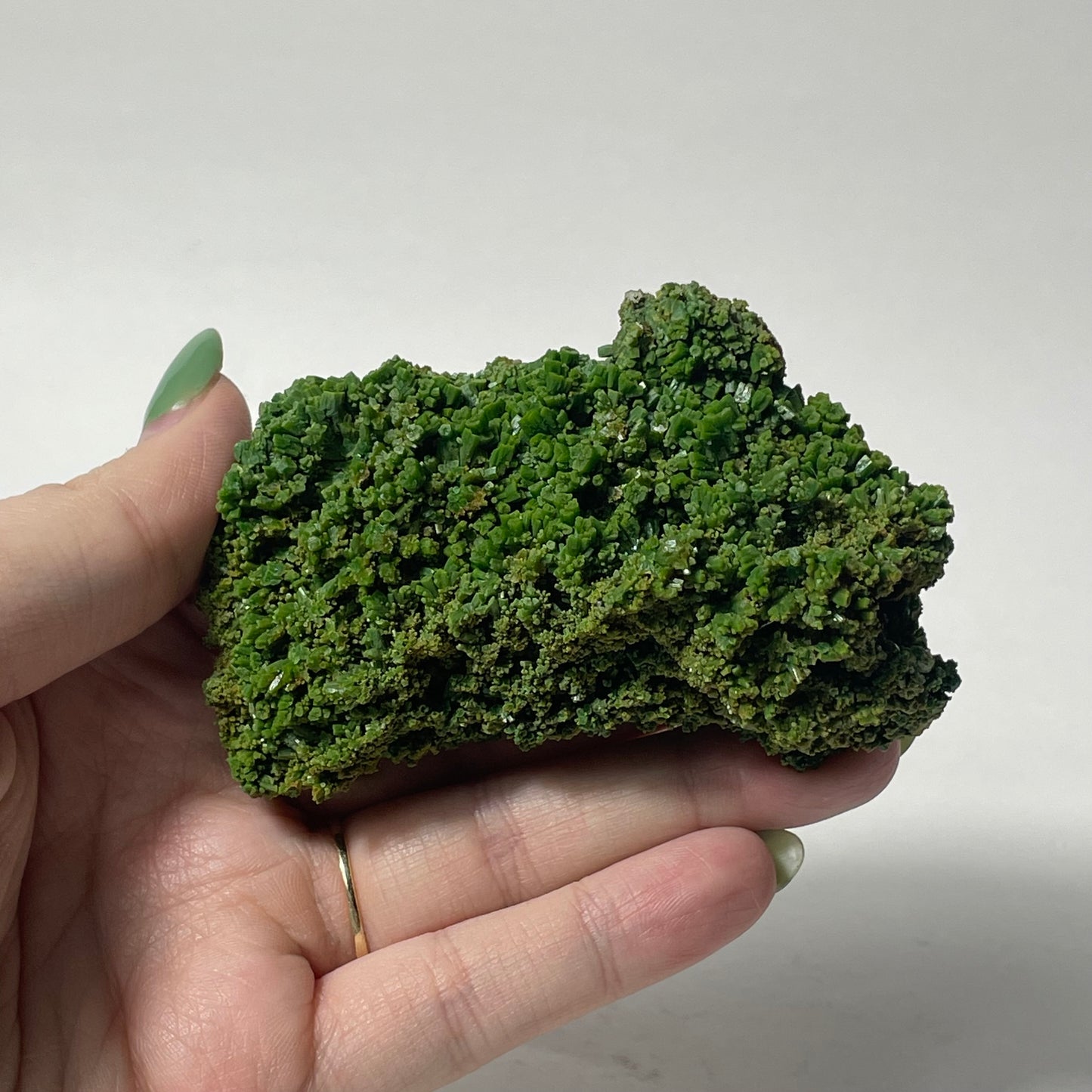 Pyromorphite Specimen from Les Farges, France: You Choose