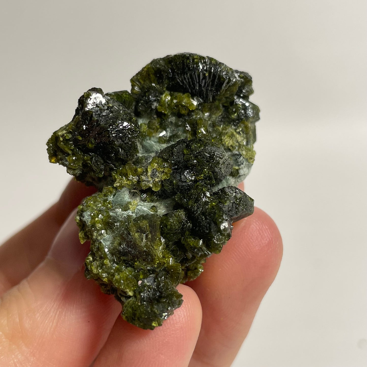 Epidote Specimen from Morocco: You Choose