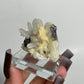 Specularite and Quartz Specimen from China: You Choose