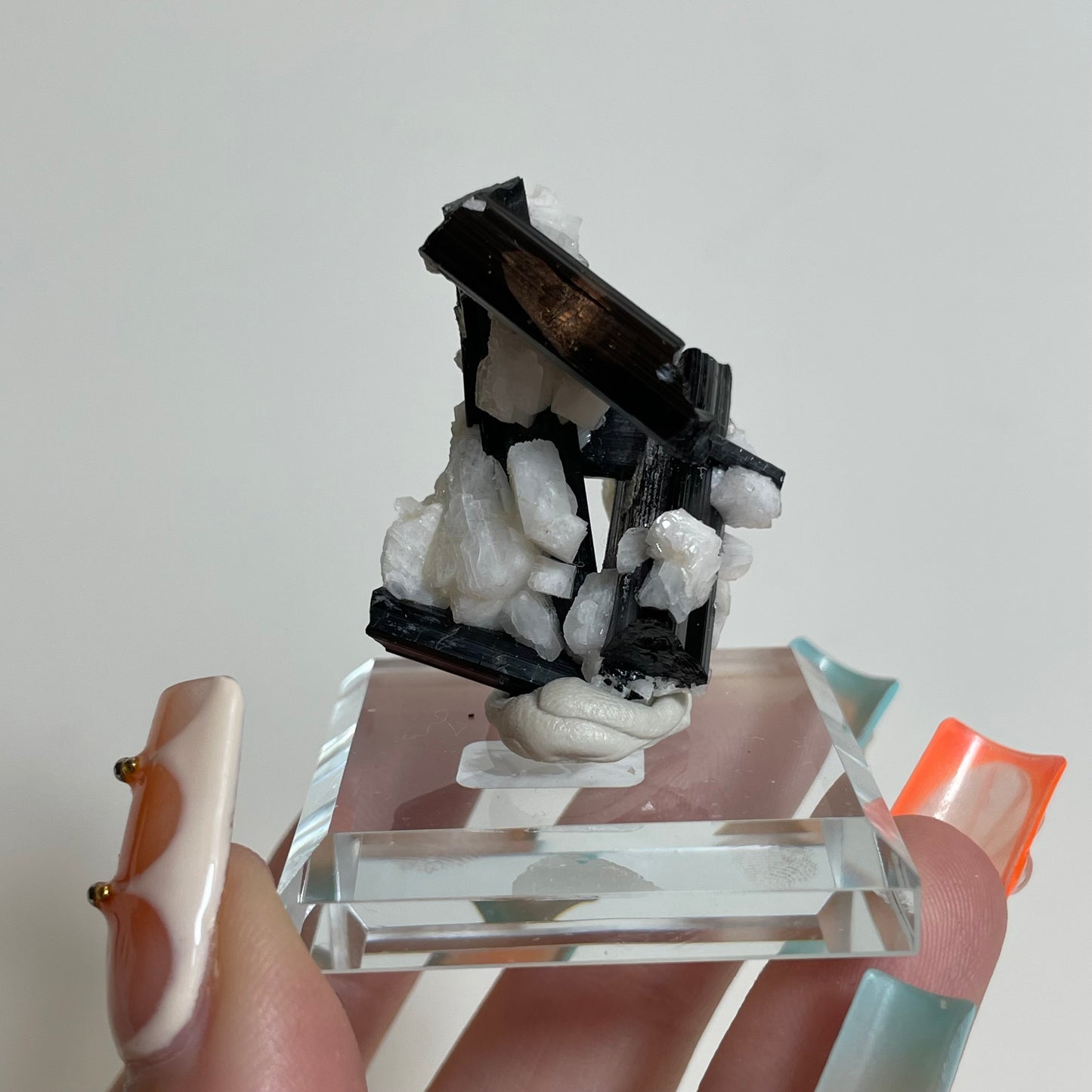 Schorl on Feldspar Specimen from Skardu, Pakistan: You Choose