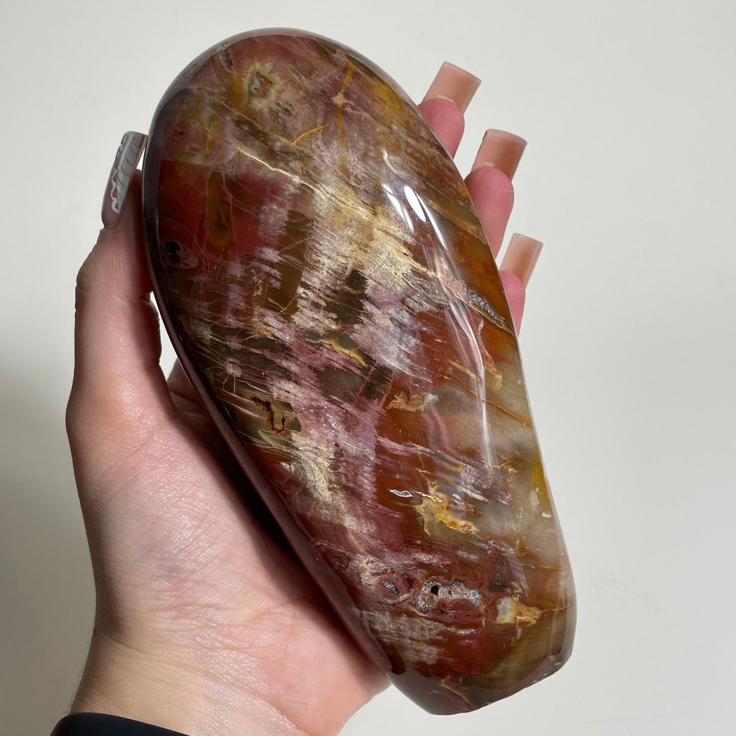 Petrified Wood Freeform: You Choose