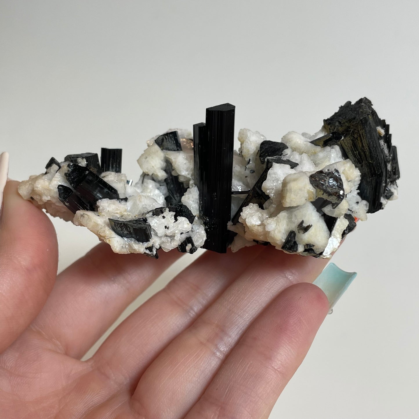 Schorl on Feldspar Specimen from Skardu, Pakistan: You Choose