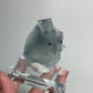 Fluorite Specimen from Yindu Mine, China: You Choose