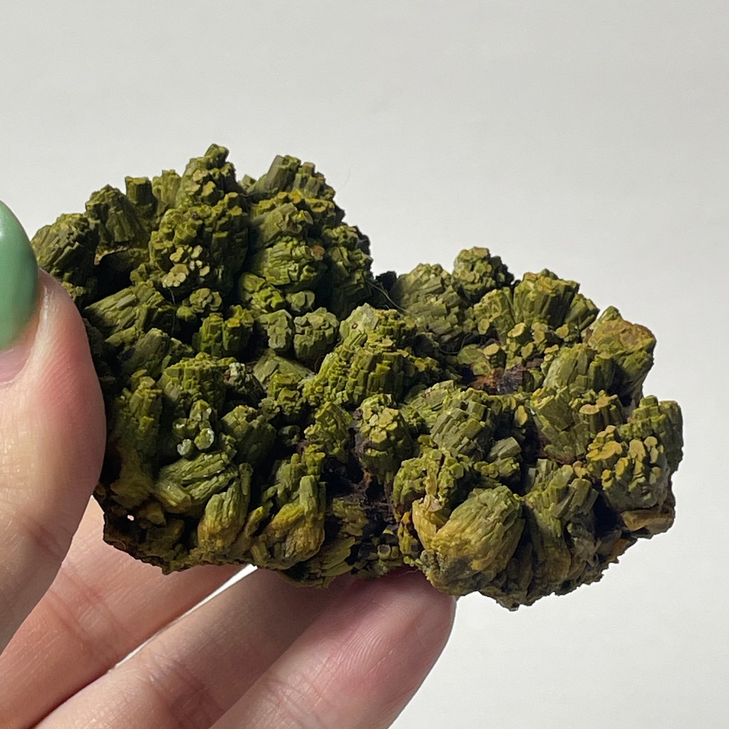 Pyromorphite Specimen from Les Farges, France: You Choose