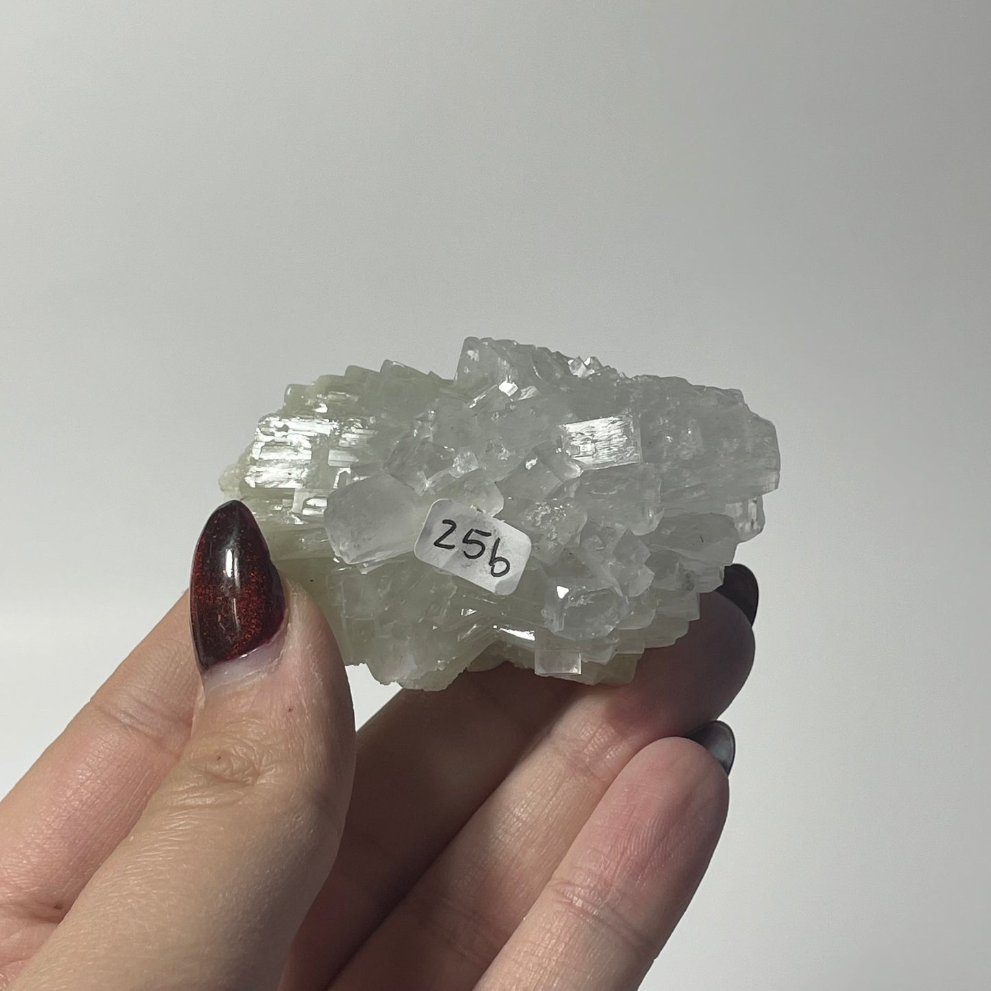 Icy Apophyllite Specimen from India: You Choose