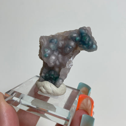 Chrysocolla-Included Chalcedony Specimen from Obi Island, Indonesia: You Choose