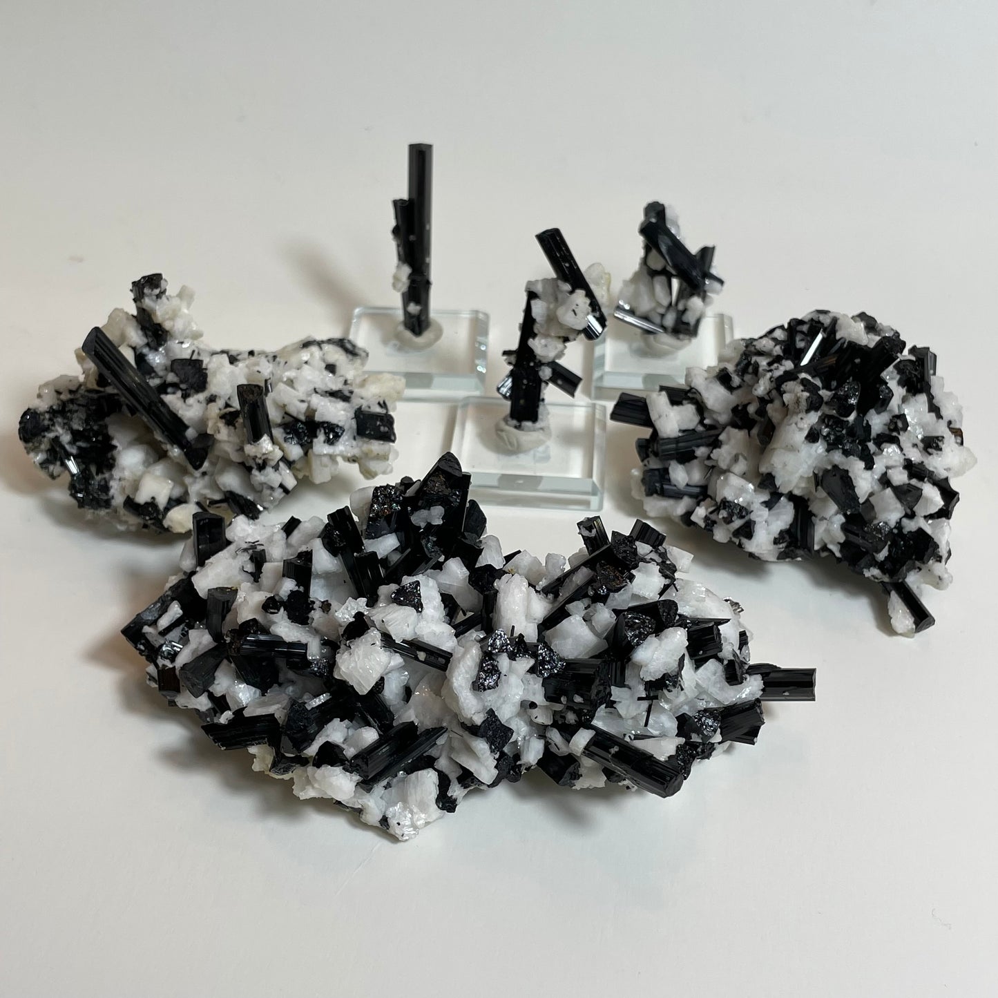 Schorl on Feldspar Specimen from Skardu, Pakistan: You Choose