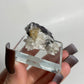 Specularite and Quartz Specimen from China: You Choose