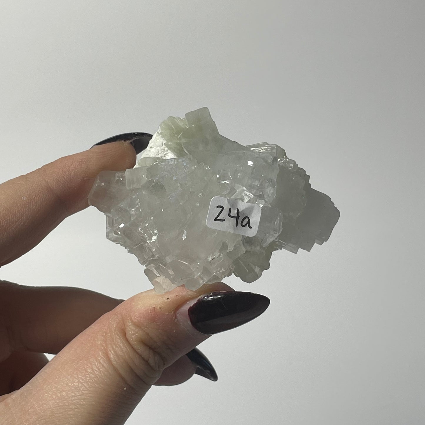 Icy Apophyllite Specimen from India: You Choose