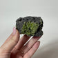 Peridot with Chrome Diopside and Spinel Specimen from Arizona: You Choose