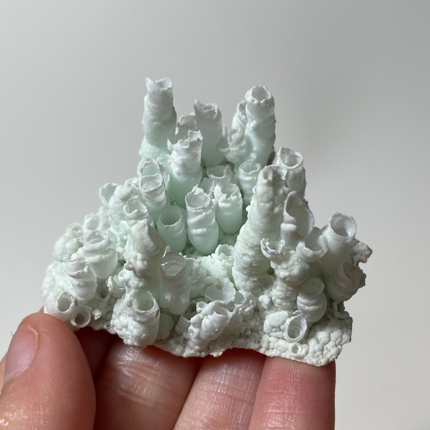 Aragonite Specimen from Heves County, Hungary