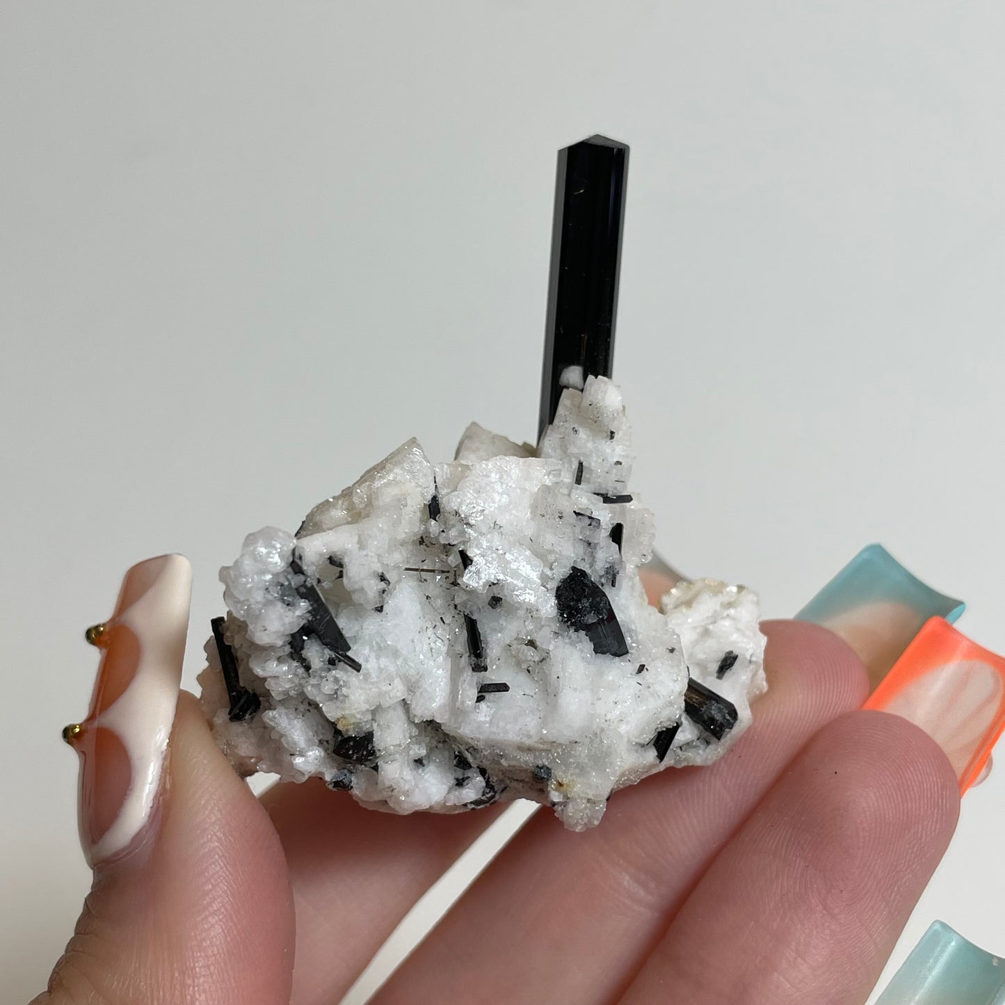 Schorl on Feldspar Specimen from Skardu, Pakistan: You Choose