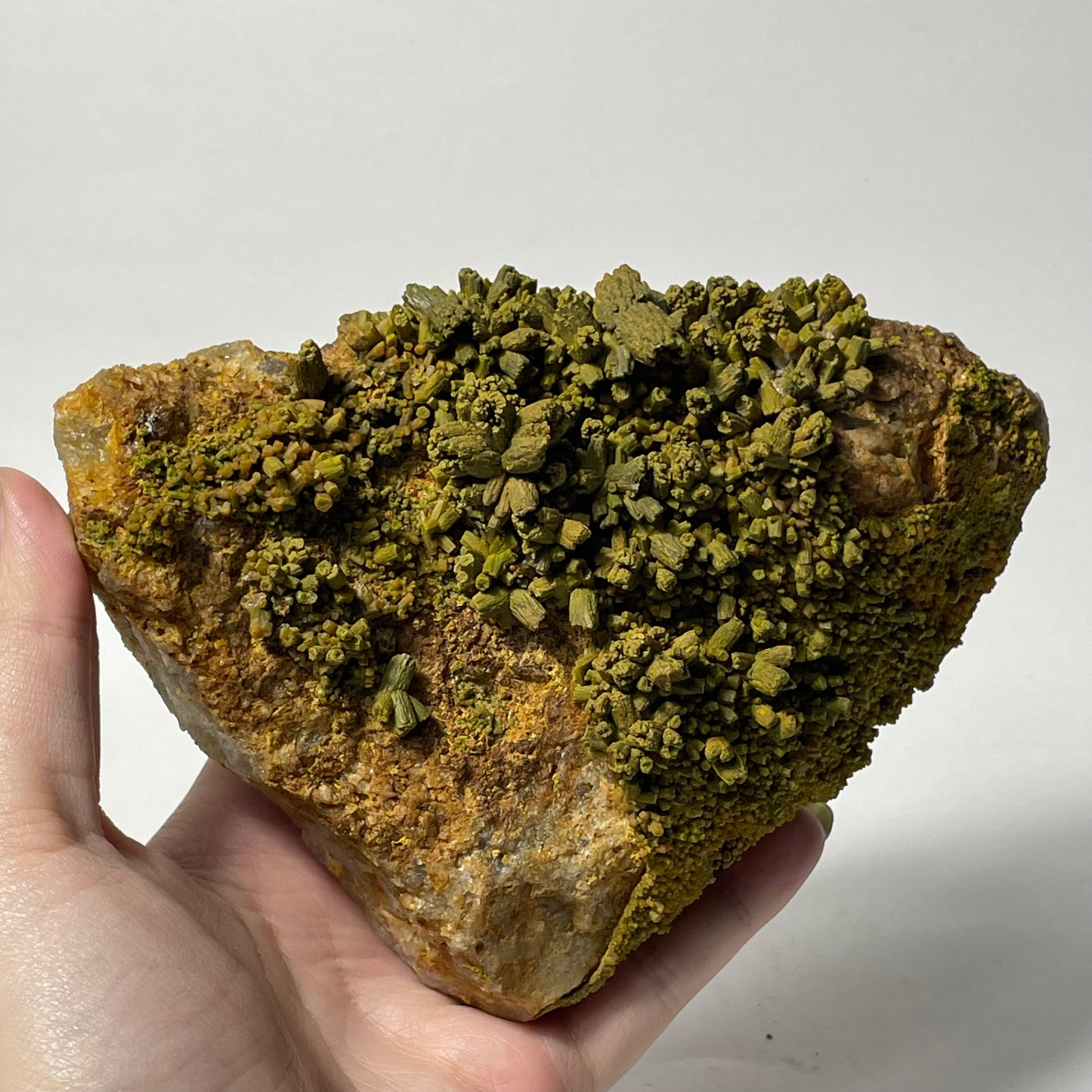 Pyromorphite Specimen from Les Farges, France: You Choose