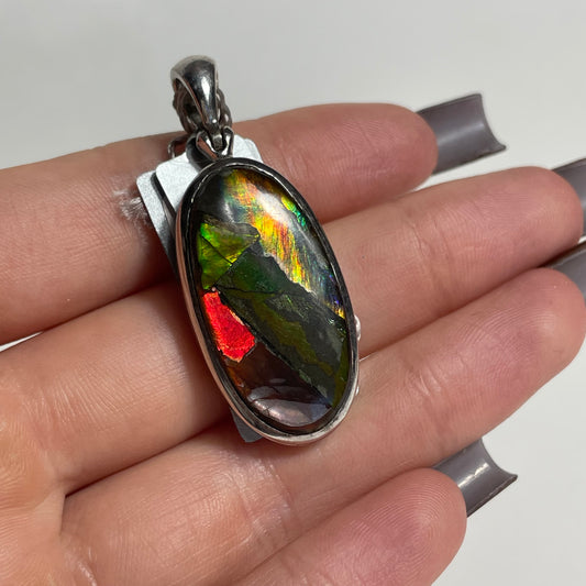 Ammolite Pendant