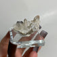 Specularite and Quartz Specimen from China: You Choose