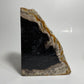 Petrified Wood Bookend (Single)