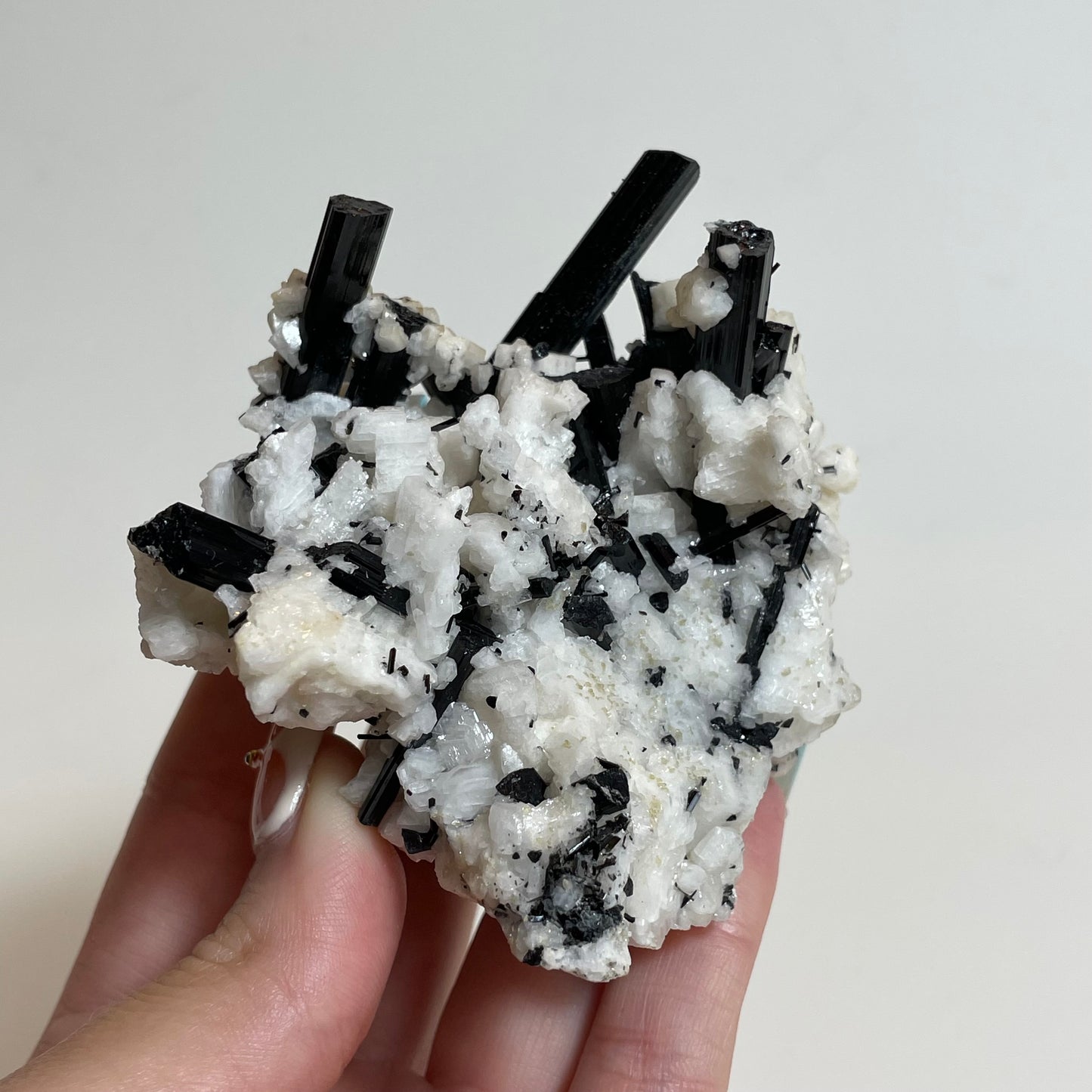Schorl on Feldspar Specimen from Skardu, Pakistan: You Choose