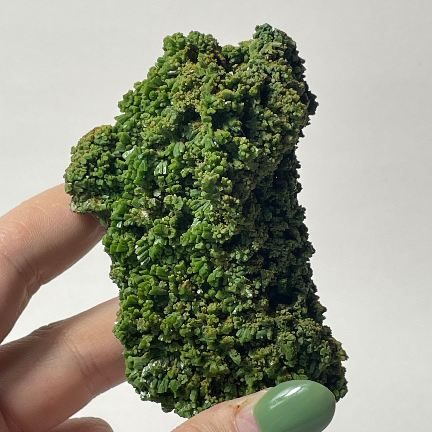 Pyromorphite Specimen from Les Farges, France: You Choose