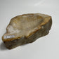 Petrified Wood Bowl