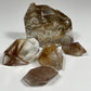 Gold Rutile in Quartz from Brazil: You Choose
