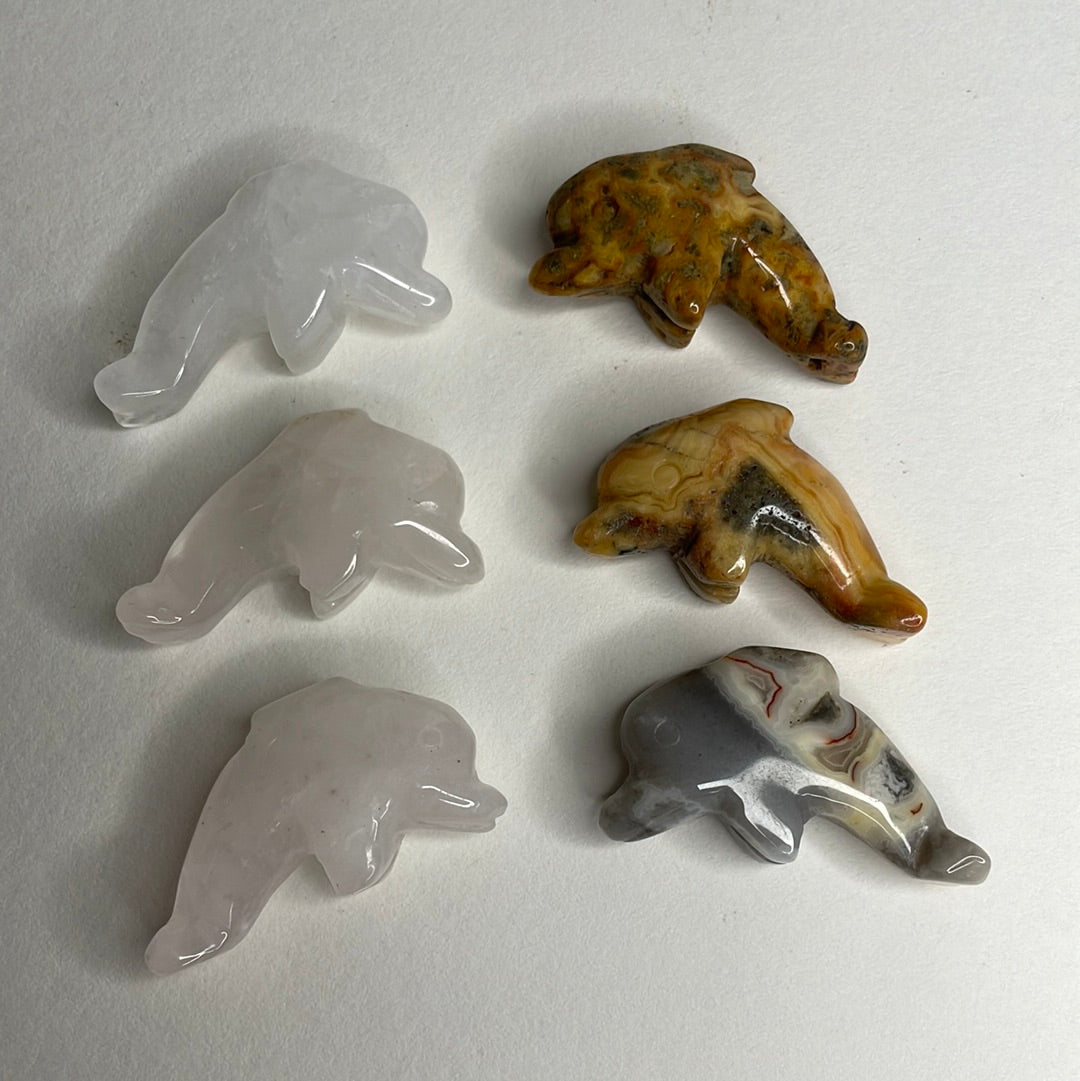 Mini Dolphin Carving