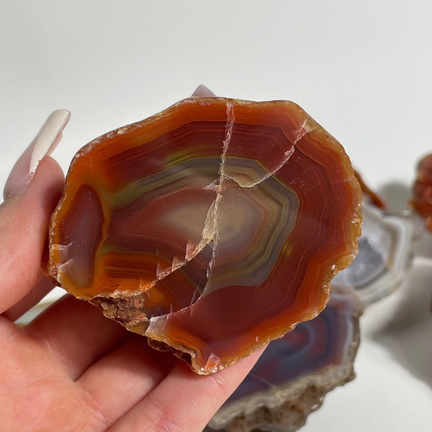 Australian Agate Specimen: You Choose