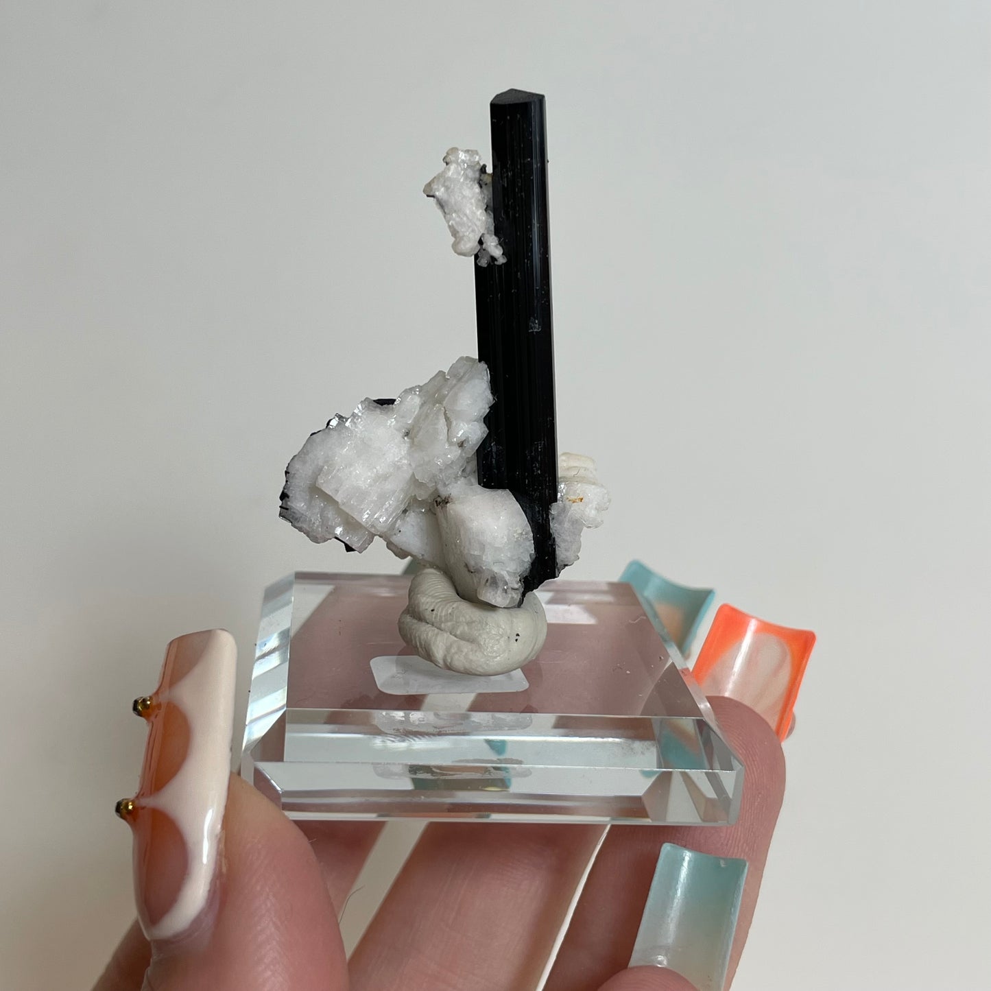Schorl on Feldspar Specimen from Skardu, Pakistan: You Choose