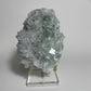 Glassy Fluorite from XHL, China with Stand