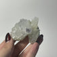 Icy Apophyllite Specimen from India: You Choose