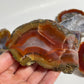 Australian Agate Specimen: You Choose