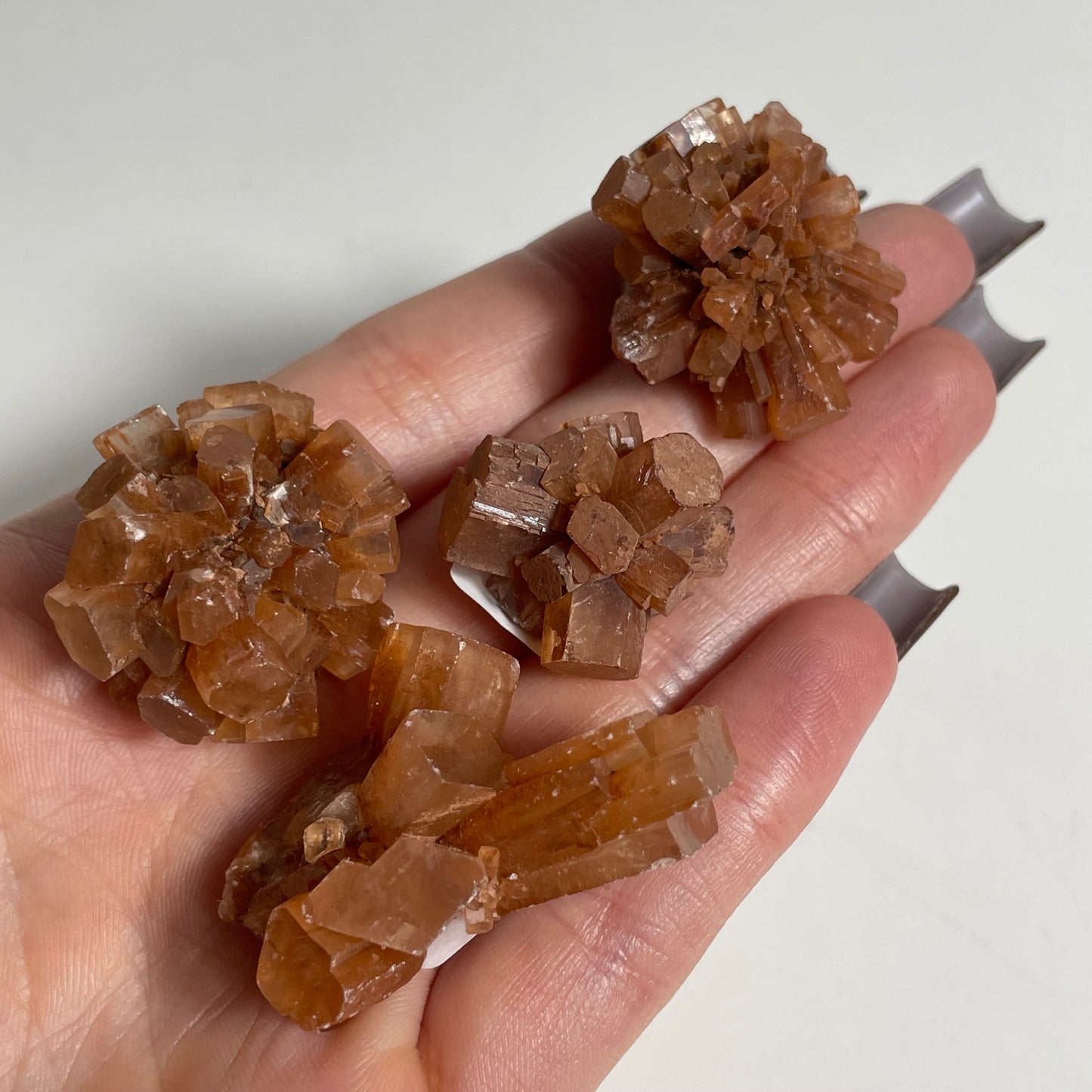 Aragonite Star Cluster