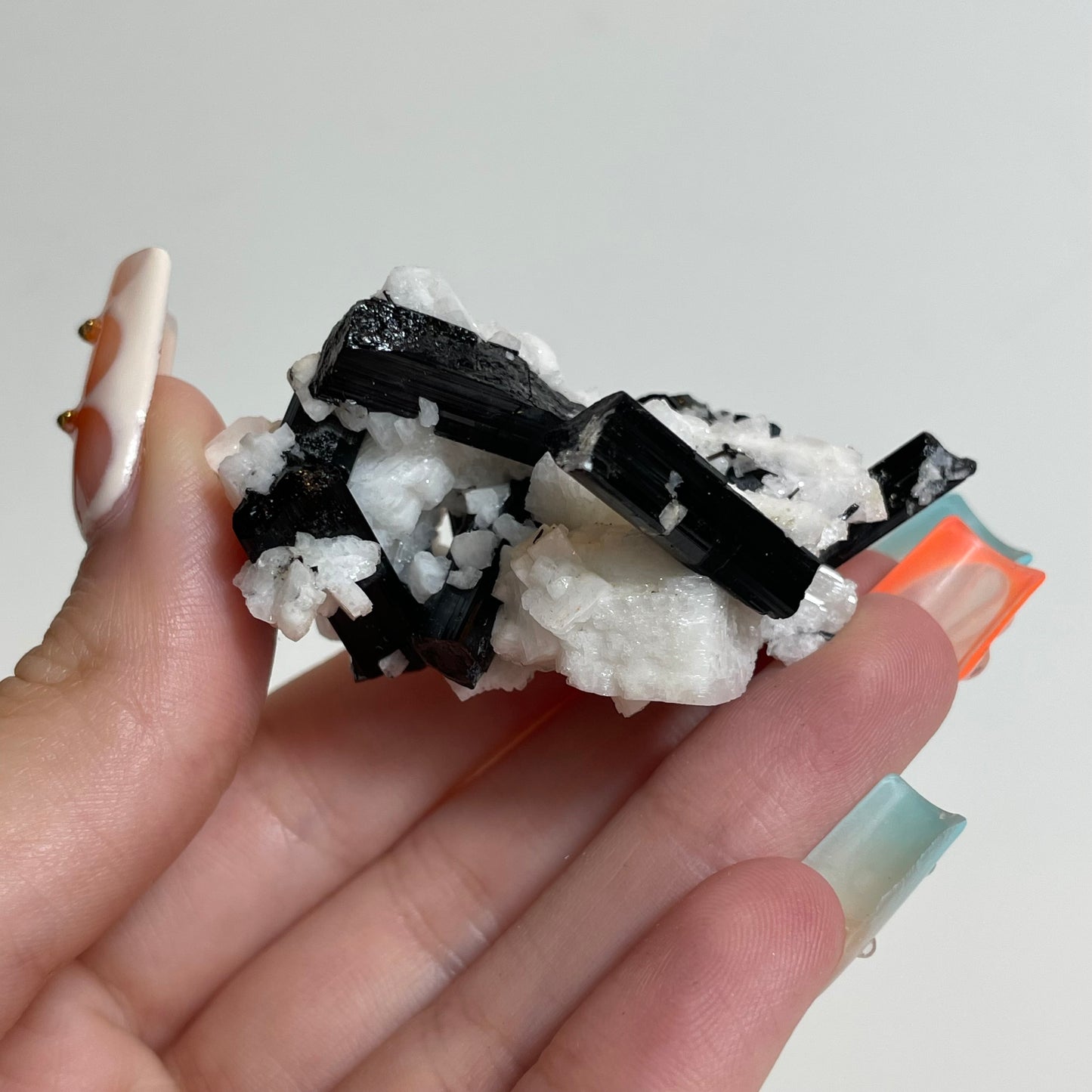 Schorl on Feldspar Specimen from Skardu, Pakistan: You Choose